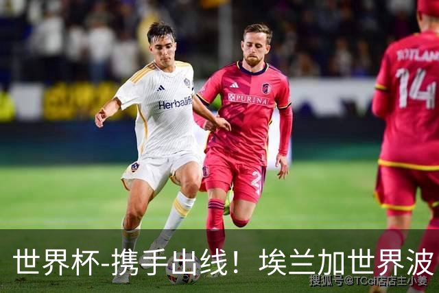 世界杯-携手出线！埃兰加世界波 瑞典1-1送日本踢巴西