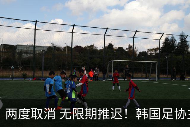 两度取消 无限期推迟！韩国足协主席选举闹剧不止