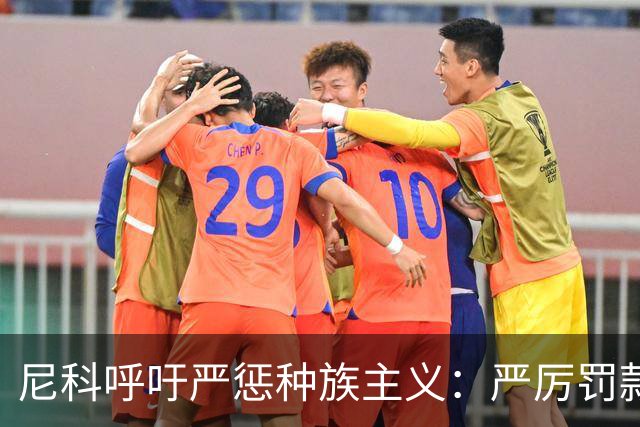 尼科呼吁严惩种族主义：严厉罚款+追究刑责+精准识别