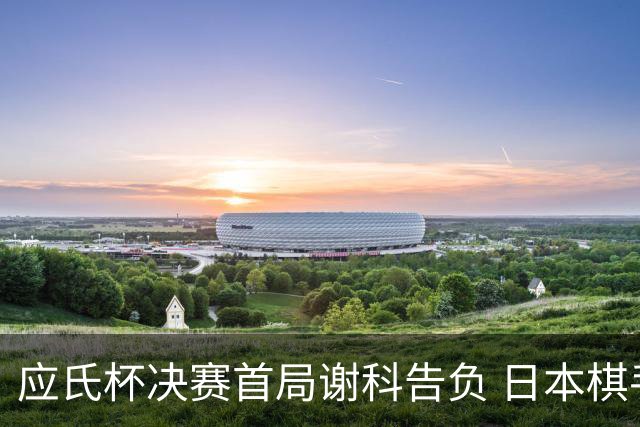 应氏杯决赛首局谢科告负 日本棋手一力辽占得先机