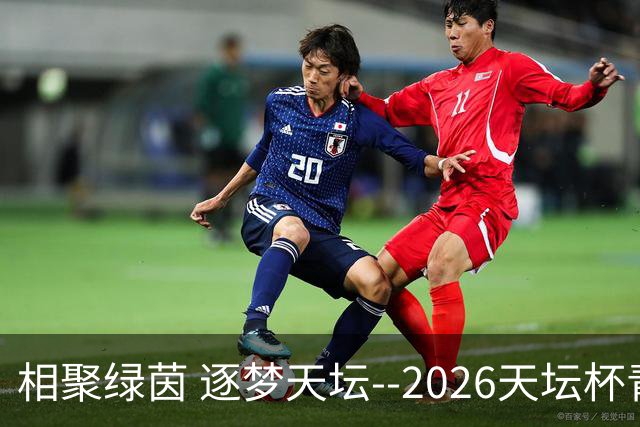 相聚绿茵 逐梦天坛--2026天坛杯青少年足球交流火热开启