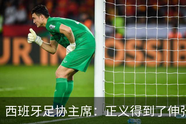 西班牙足协主席：正义得到了伸张，今天是西班牙的伟大日子