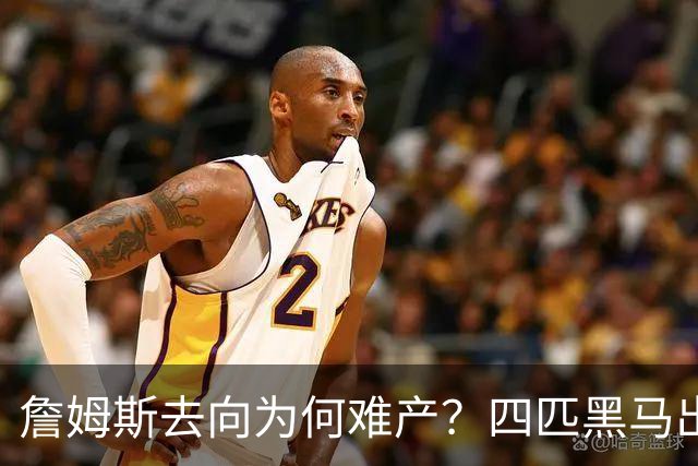 詹姆斯去向为何难产？四匹黑马出现加剧混乱